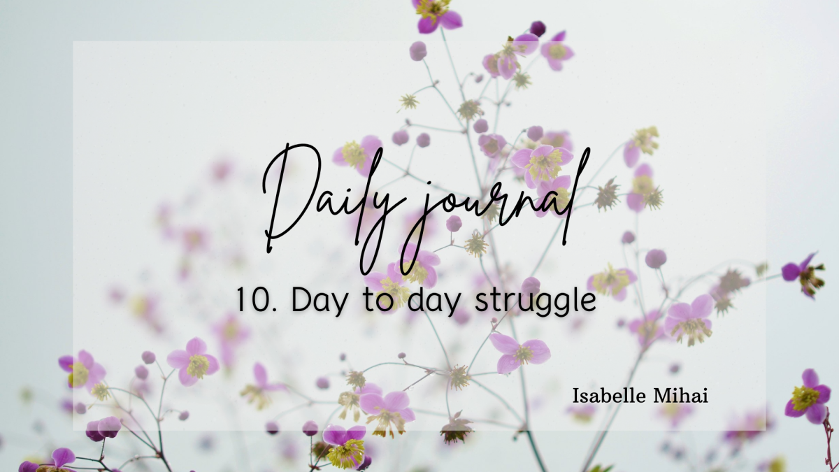 Daily journal : 10. Day to Day struggle